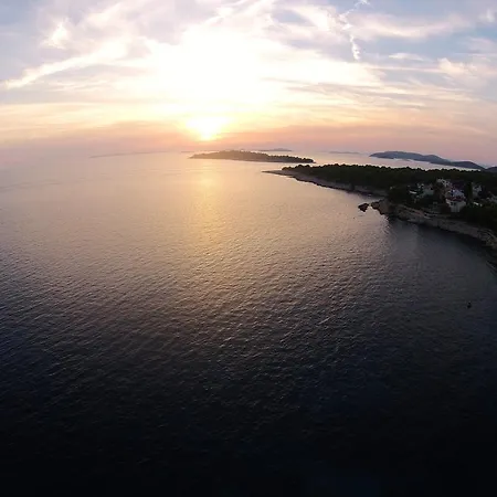 Apartment Ivanka Bilo *